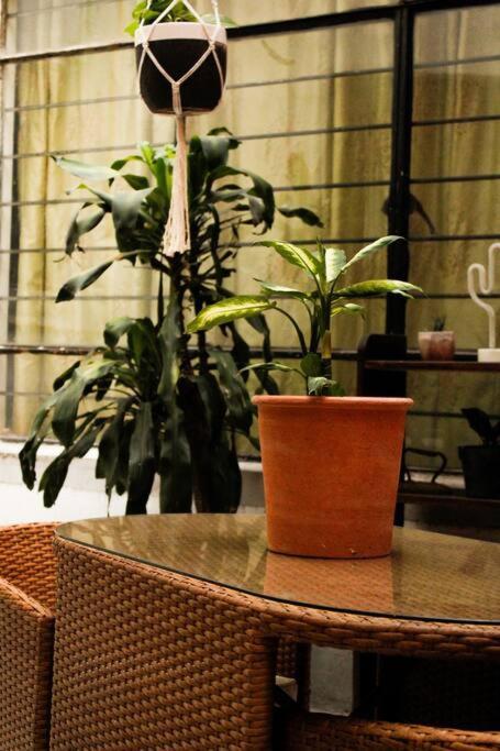 New Mex Inspired Bo-Ho Chic Apartment With Private Patio And Roof Terrace Mexiko-Stadt Exterior foto