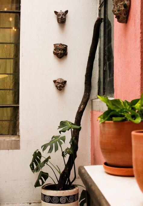 New Mex Inspired Bo-Ho Chic Apartment With Private Patio And Roof Terrace Mexiko-Stadt Exterior foto